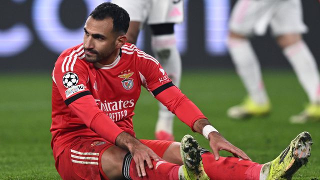 Pavlidis, ponta de lança do Benfica - Foto Imago