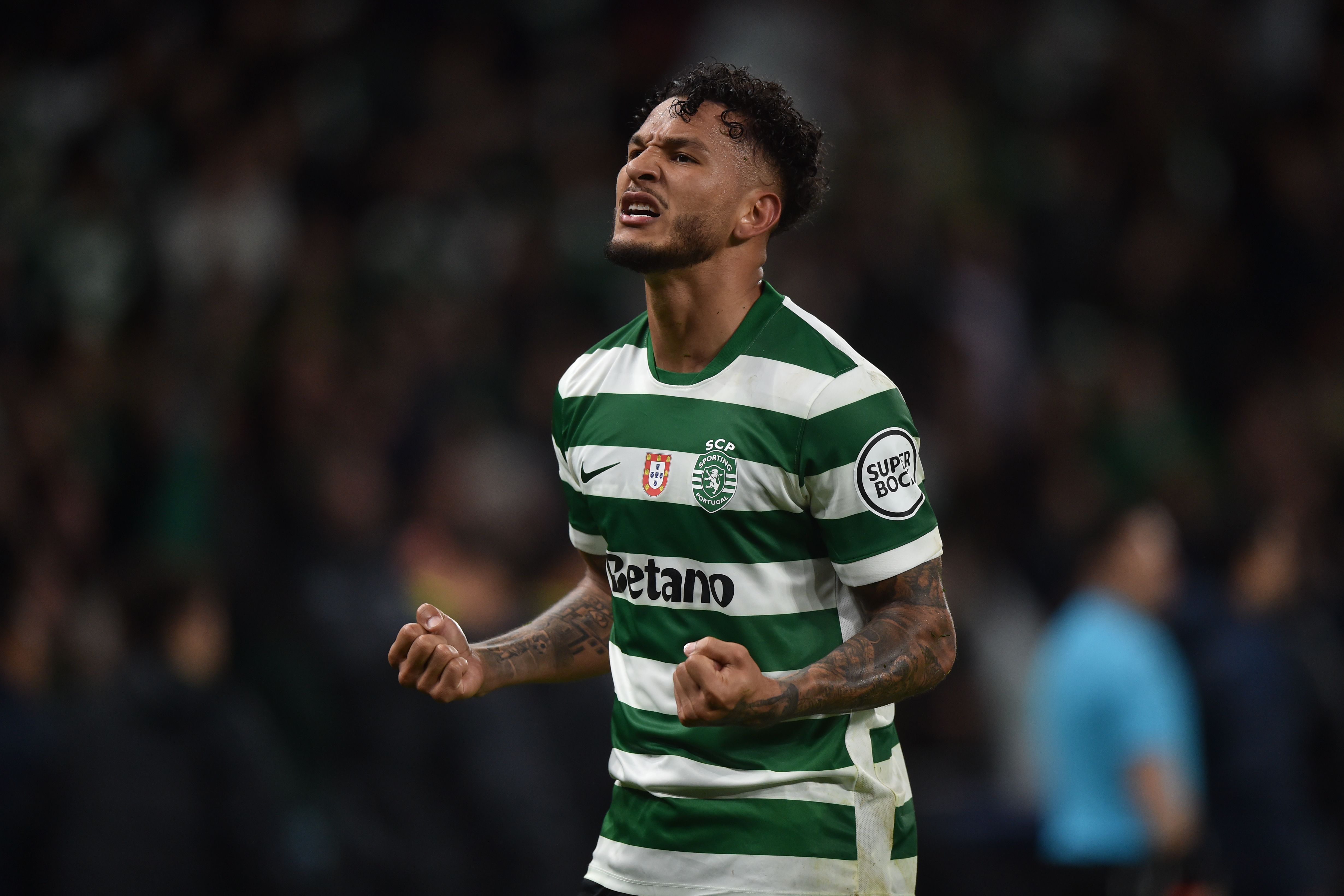 Luis Suárez, jogador do Sporting, festeja golo apontado ao PSG, na Liga dos Campeões - Foto: MIGUEL NUNES