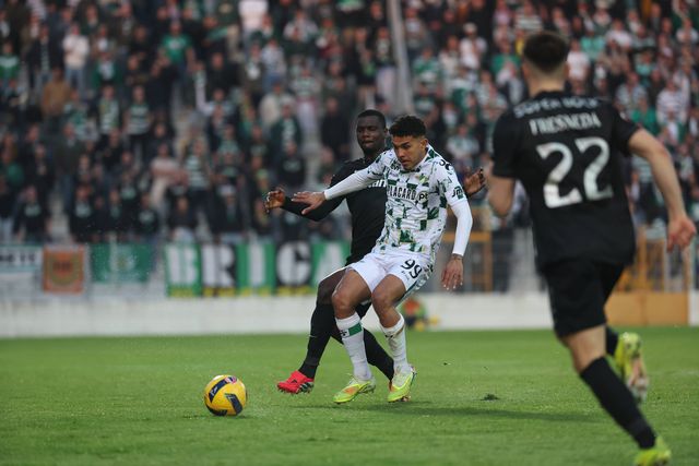 Moreirense: Schettine levou a pólvora dos artilheiros cónegos