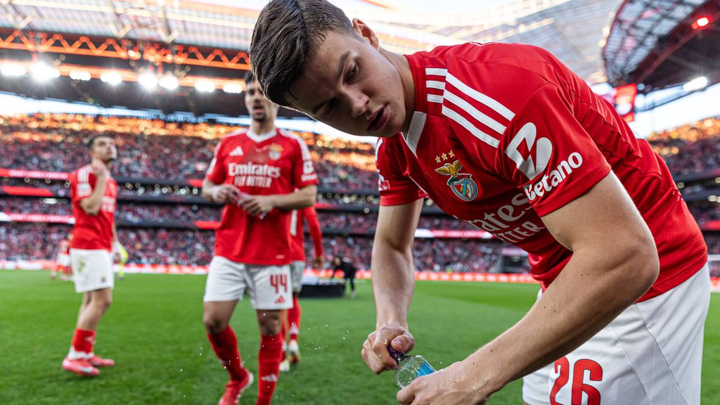 Benfica: italianos vendem Dahl... muito caro