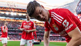 Benfica: Dahl elogia Carreras