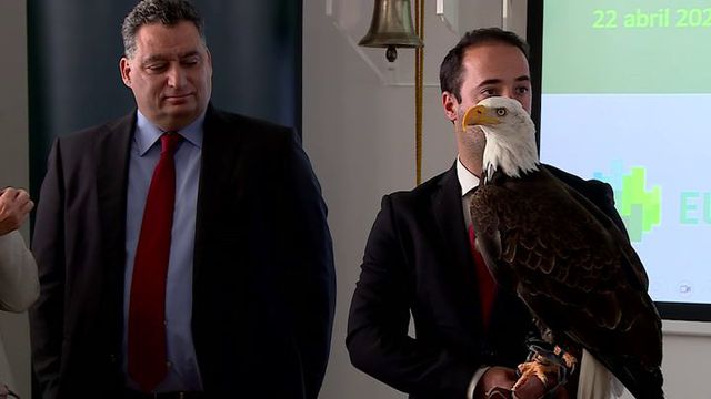 «Não fechamos as portas a investidores estrangeiros»