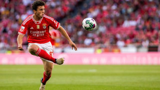 «Por várias cláusulas terem sido batidas é que os adeptos torcem o nariz à venda de João Neves»