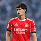 «Não estão reunidas condições para António Silva continuar no Benfica»