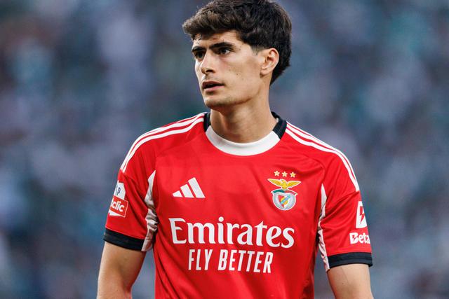 «Não estão reunidas condições para António Silva continuar no Benfica»
