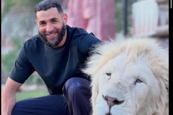 Benzema posou com leão branco em fotografia partilhada nas redes sociais - Foto: @laliguedesanimaux/Instagram