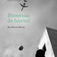 Capa do livro 'Promessa do Futebol', de Rui Passos Rocha. FOTO D. R.