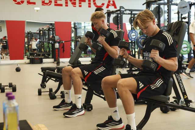 Mercado Benfica: Saiba quanto paga o Feyenoord por Tengstedt