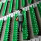 João Embaló - Foto: Sporting
