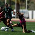 Leoas ficam no Algarve até sexta-feira - Foto: SPORTING CP