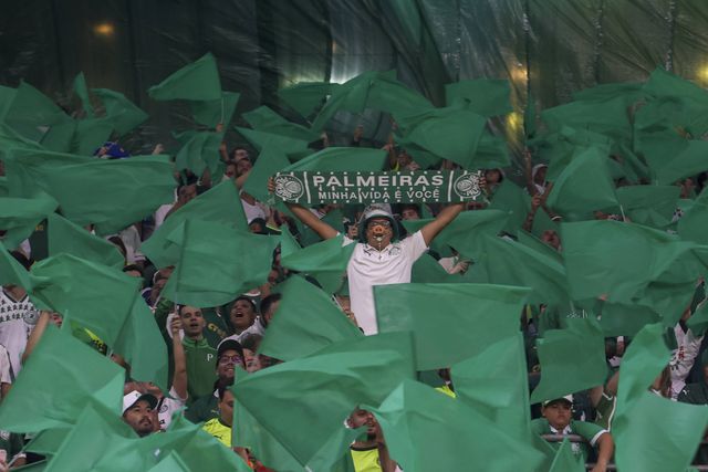 Palmeiras tenta identificar adepto que mostrou órgão genital a adepta do Botafogo