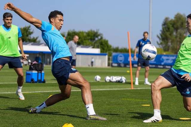 Plantel azul e branco focado no duelo com os gansos (Foto: FC Porto)