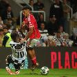 Boavista-Benfica: águia tenta passar no terreno da pantera
