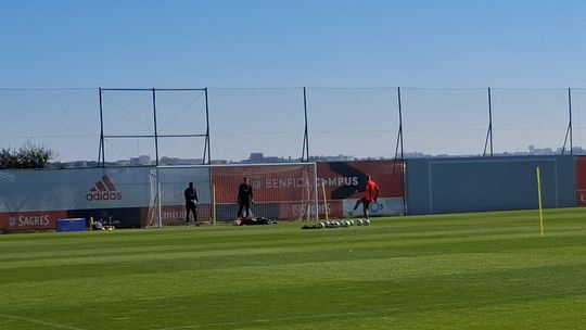 Guarda-redes do Benfica 'aquecem as luvas' para o Feyenoord