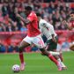 Nottingham Forest tem plantel valioso