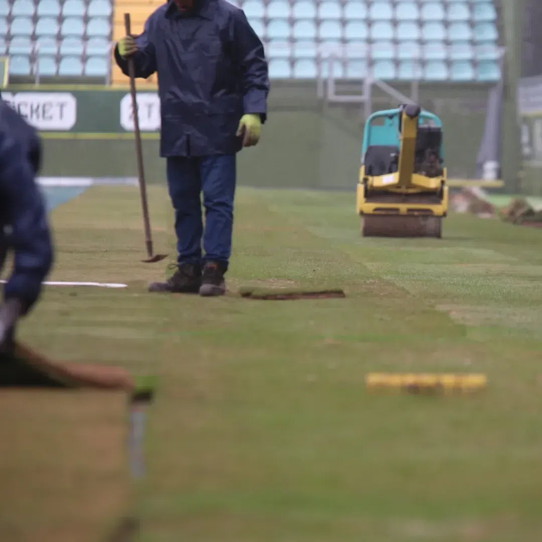 Colocação de relvado no estádio João Cardoso, em Tondela (Instagram/CD Tondela)