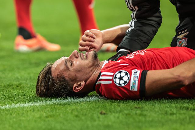 Queixas de Dedic no Newcastle-Benfica (IMAGO)