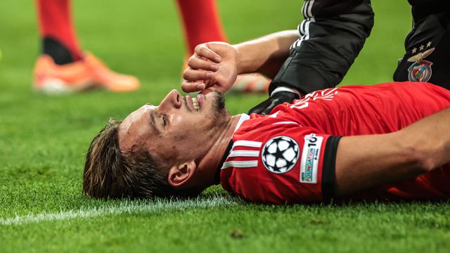 Queixas de Dedic no Newcastle-Benfica (IMAGO)