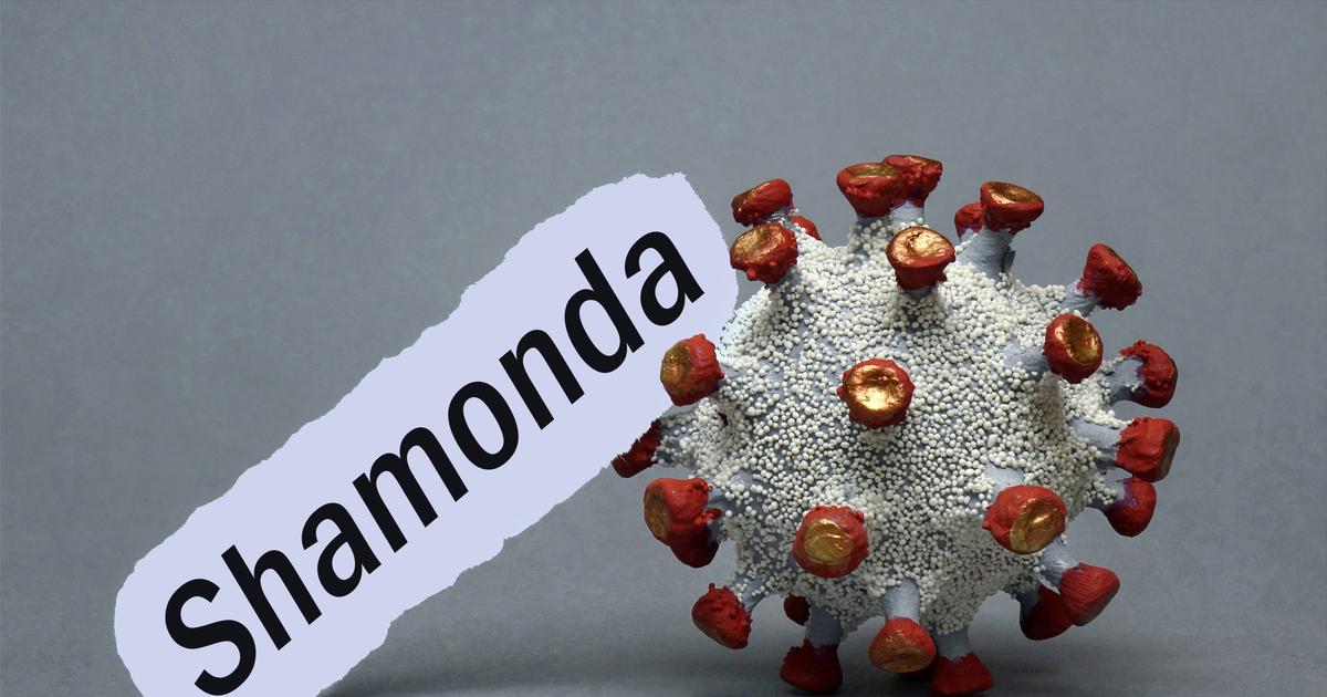 Vírus Shamonda, que se pensava ser intransmissível aos humanos, faz vítima mortal em França