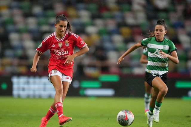 Uma questão de camuflagem