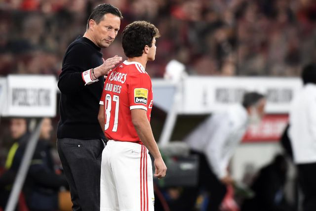 «Dificilmente haverá clube tão bem-sucedido como o Benfica»