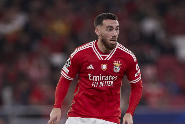 Duas boas notícias para Schmidt