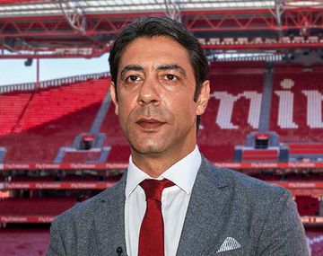 Todas as explicações de Rui Costa sobre o mercado