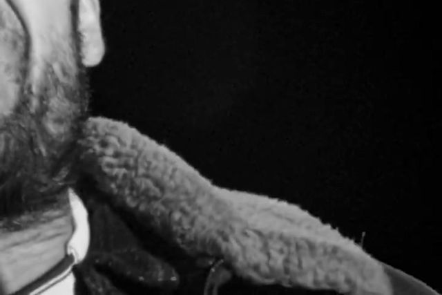 O vídeo do Real Madrid para acabar com o ódio no futebol