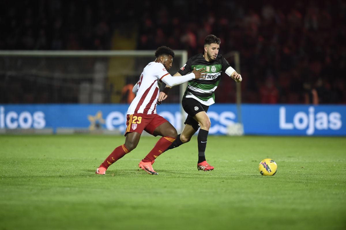 Aves SAD: talismã Zé Luís chamado à decisão final