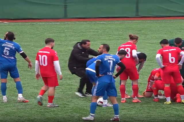 Reanimação feita à gaivota por Gani Catan