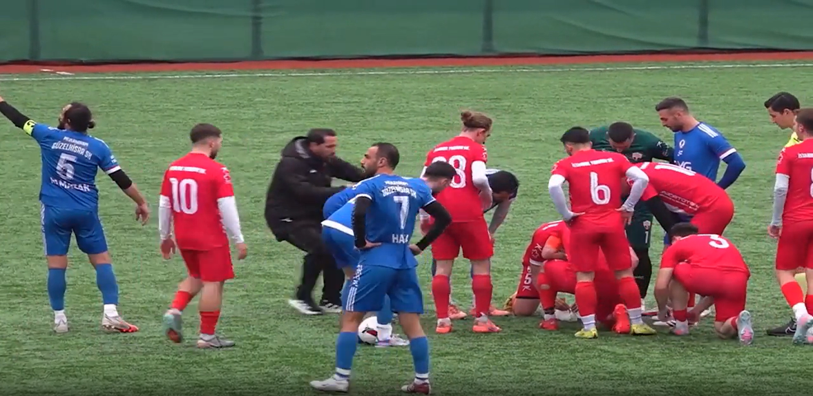 Reanimação feita à gaivota por Gani Catan