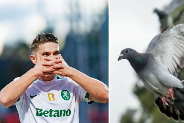 Pombo Gyokeres dá título mundial a Portugal