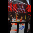 Lutador de MMA banido após dar pontapé a 'ring girl' (vídeos)