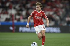 Benfica: «Parece que Schjelderup é sempre a segunda opção»
