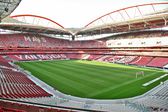 Estádio da Luz já com melhoramentos para a época 2025/2026