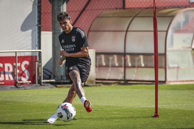 Já há onze do Benfica e com reforços!