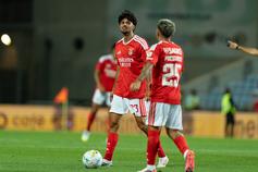 Miguel Figueiredo, jovem médio do Benfica