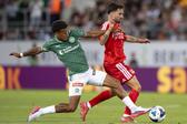 Rafa Silva, avançado do Benfica (foto - Imago)