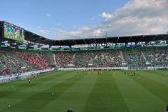 Dos assobios à euforia: reações às entradas para aquecimento de Benfica e St. Gallen