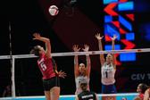 Seleção feminina de voleibol perdeu com a belga (foto FPV)