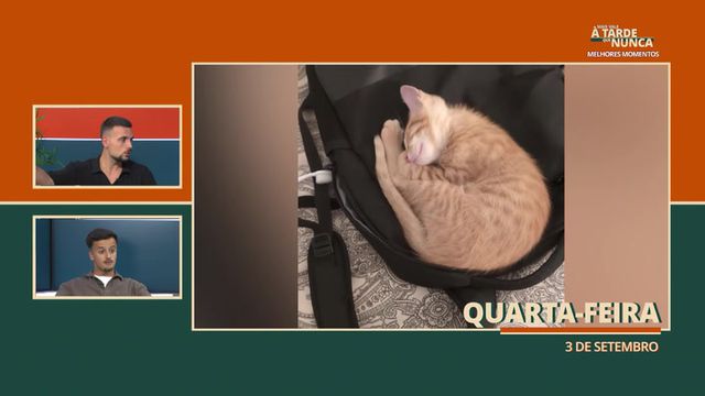 Mais Vale à Tarde que Nunca - 05/09/2025