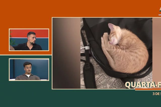 Mais Vale à Tarde que Nunca - 5/09/2025