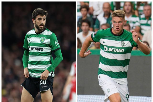 Paulinho e Gyokeres, a dupla que Amorim nunca separou na Europa