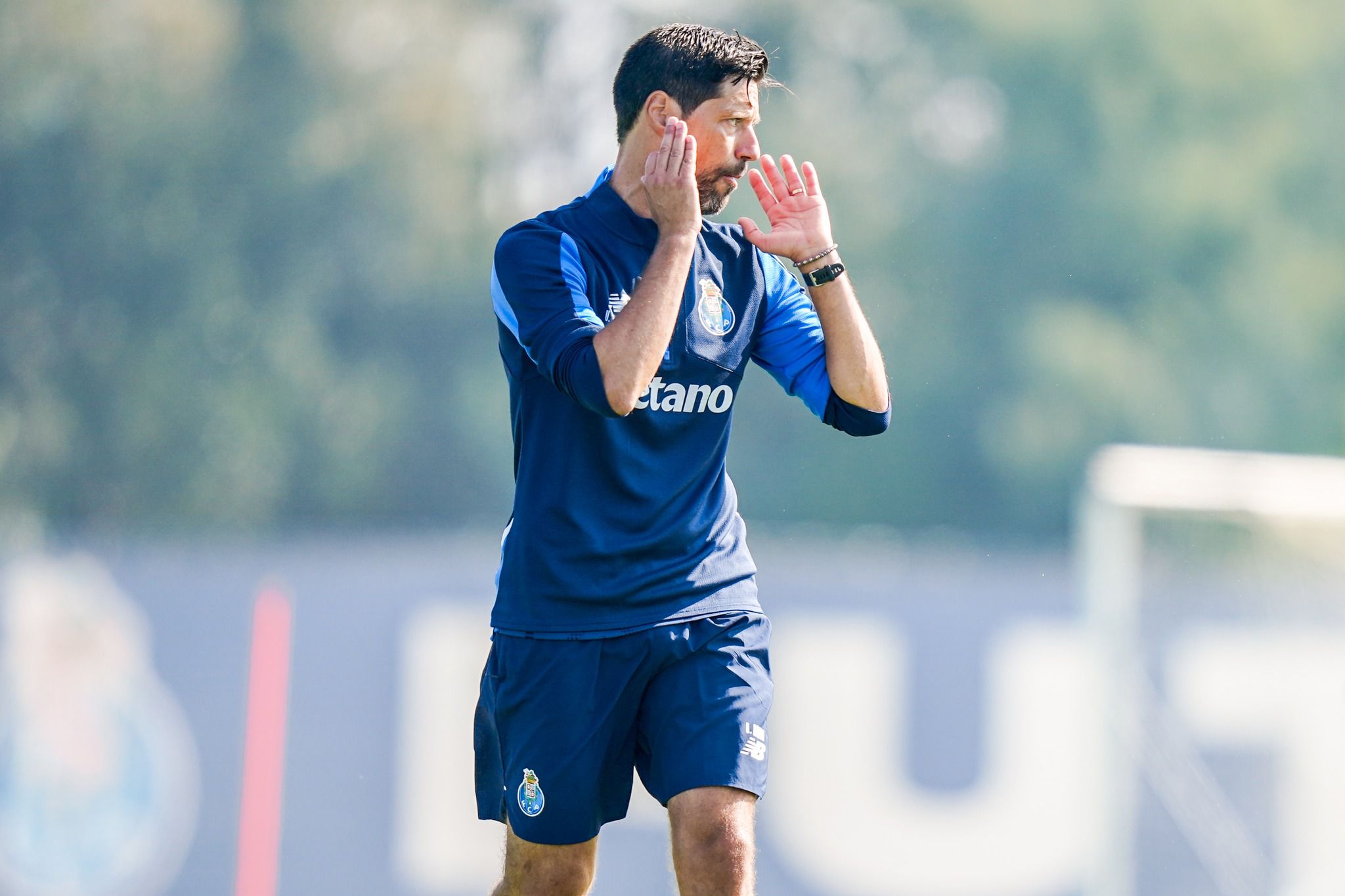 Hoffenheim, parabéns ao Nico pela masterclass e a bravura: tudo o que disse Vítor Bruno