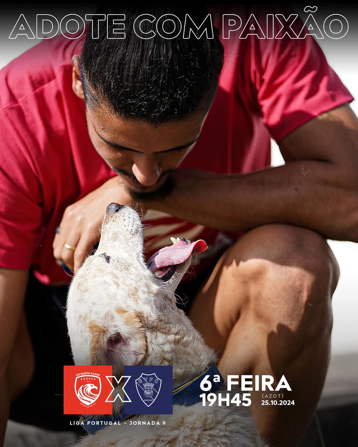 Cães no estádio? A iniciativa do Santa Clara para o próximo jogo do 