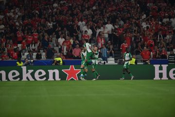 VÍDEO: Feyenoord volta a marcar, mas VAR salva o Benfica