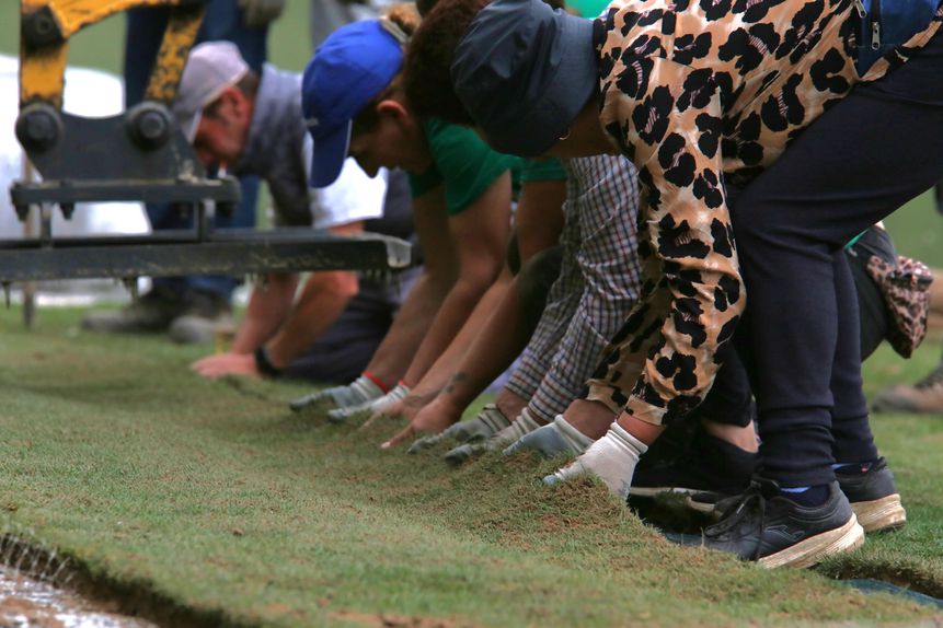 Novo relvado do Tondela a todo o gás para a receção de domingo ao Sporting - Foto: CD Tondela