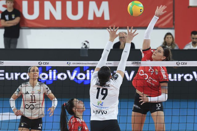 Benfica venceu o Heidelberg por 3-1. Foto: Benfica