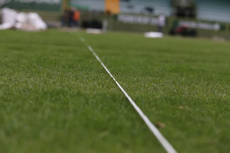 Tondela: relvado verde, esperança renascida