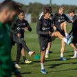 Sporting: Internacionais de volta ao treino e Catamo também